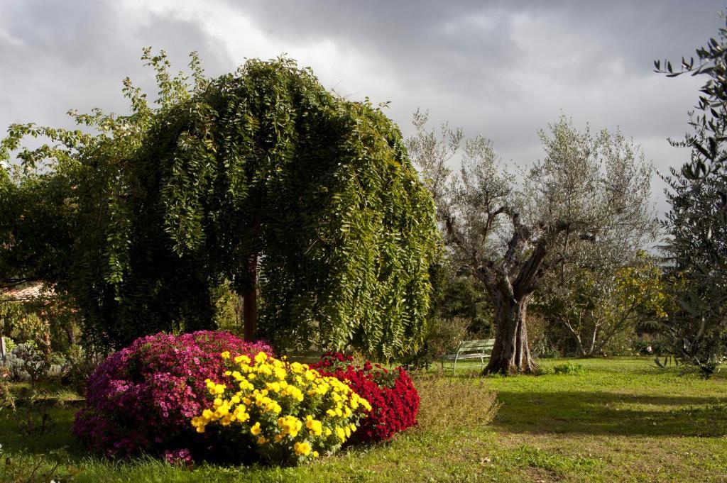 بيتيجليانو Locanda Ilune المظهر الخارجي الصورة