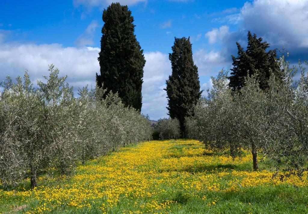 بيتيجليانو Locanda Ilune المظهر الخارجي الصورة