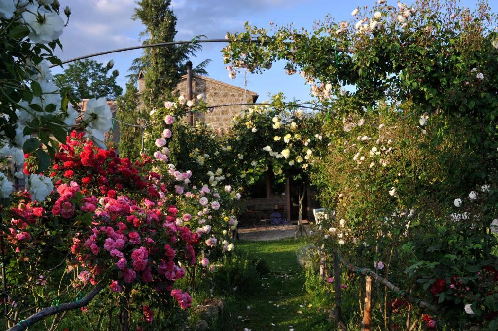بيتيجليانو Locanda Ilune المظهر الخارجي الصورة