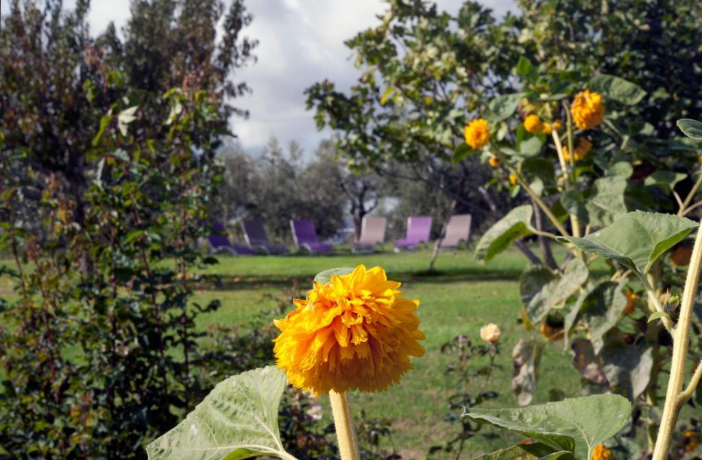 بيتيجليانو Locanda Ilune المظهر الخارجي الصورة
