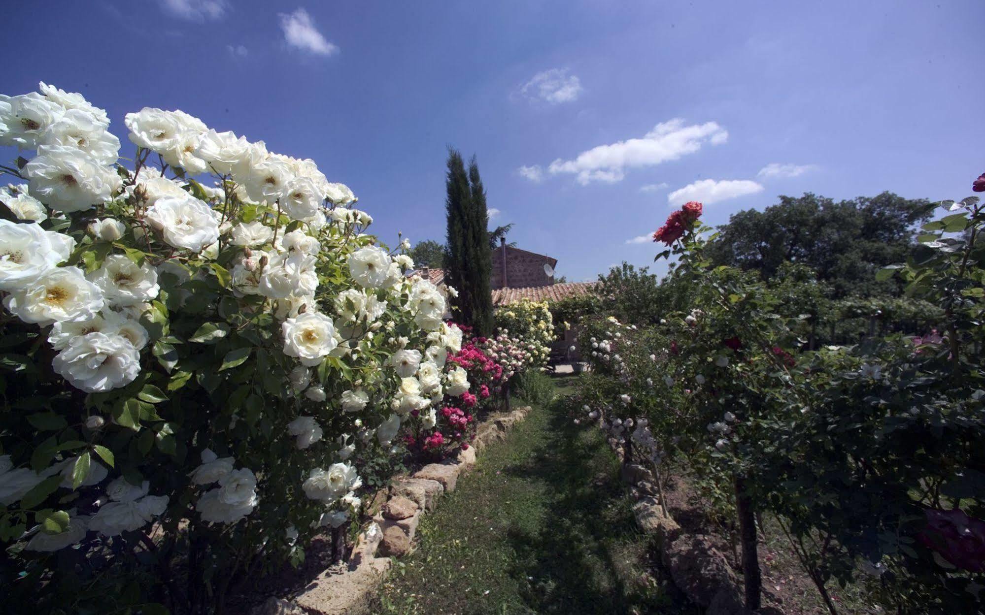 بيتيجليانو Locanda Ilune المظهر الخارجي الصورة